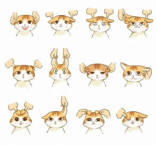 Las reacciones de neko-chan