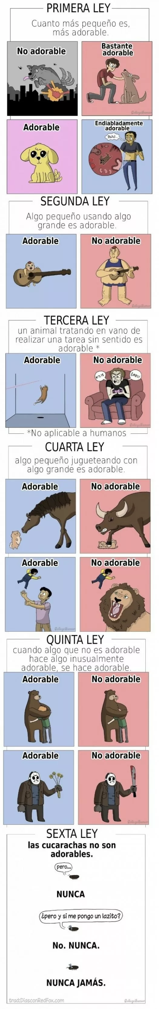 QUE ES Y NO ES ADORABLE...