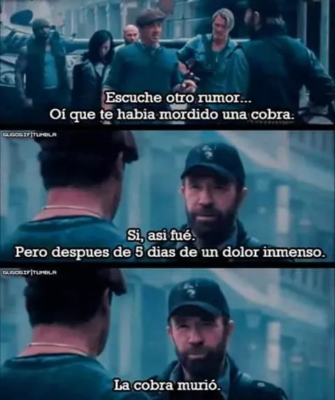 QUE. EN SERIO PENSASTE QUE LE PUEDE PASAR ALGO A chuck norris