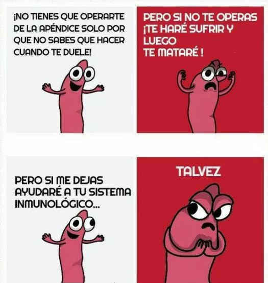 los apendices son muy conflictivos