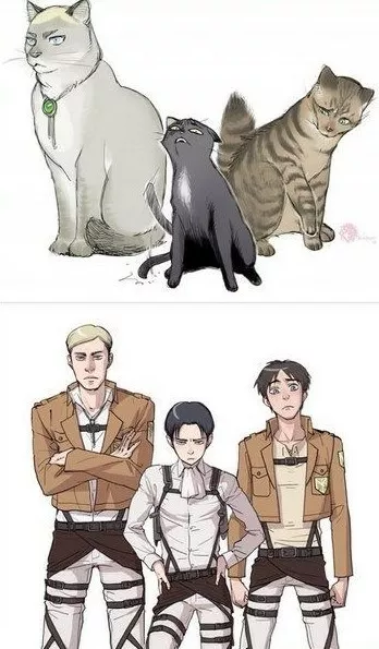 shingeki no kyojin versión gatuna  