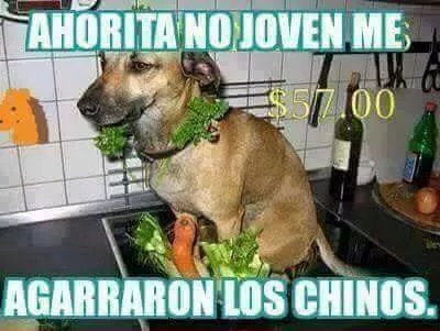 haorita no joven 
