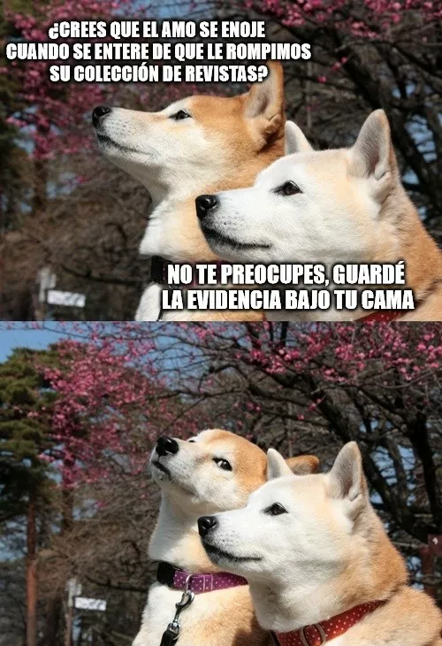 En ese momento te dan ganas de matarlos :/