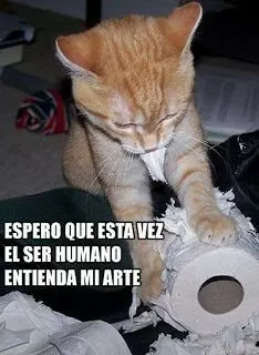 Simplemente gatos 