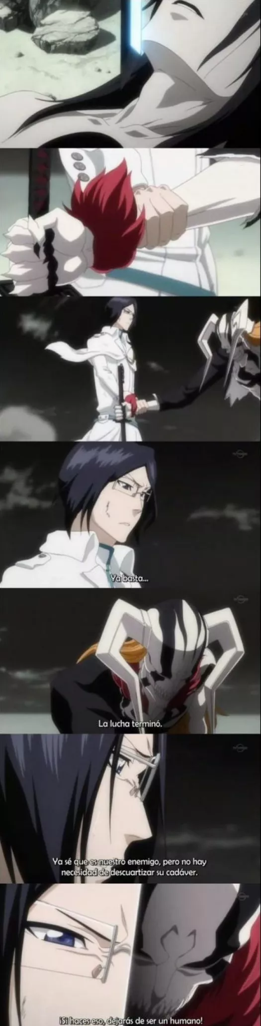 Pero, ¿Ichigo seguía siendo humano?