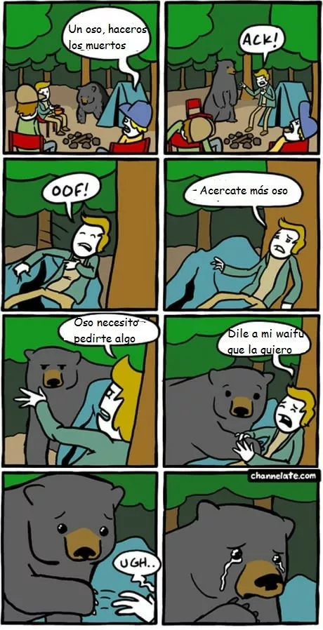 Para sobrevivir a un oso hay que conmoverlo