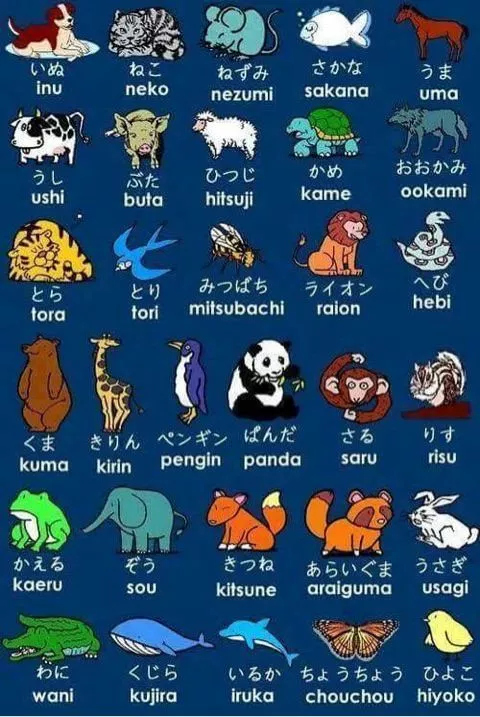 Como se escribe y se pronuncian algunos animales en japones