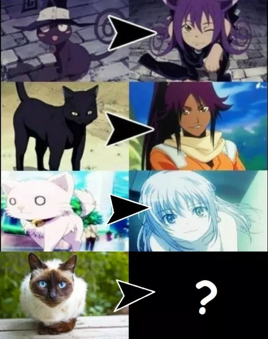 Si en el anime se transforman así, en que se transformará mi gata?