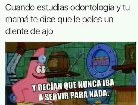 Los frutos del esfuerzo