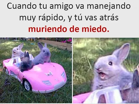 OCURRE A MENUDO