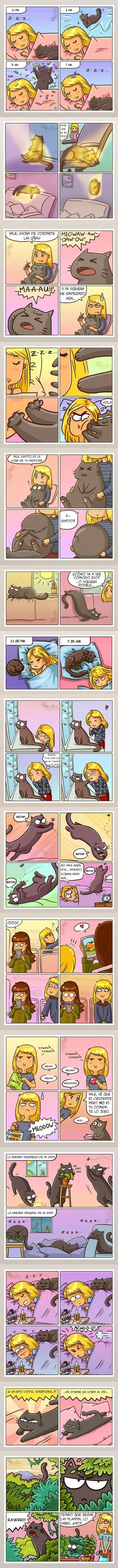 Problemas de vivir con un gato