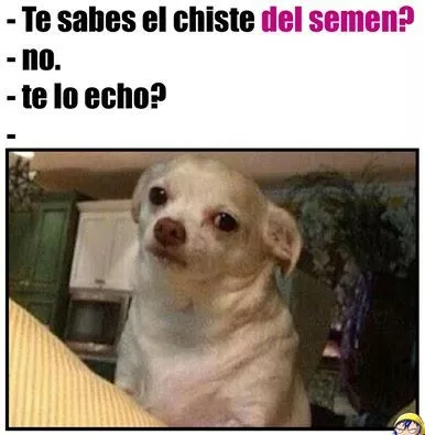 por que dije que si