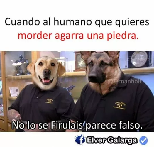 No lo se Firulais