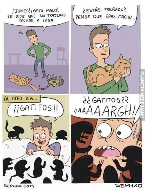 Los gatitos siempre alegran la vida.. oh wait