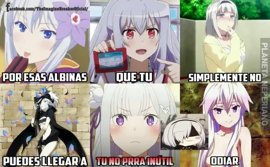 Las albinas son mejor (2D)