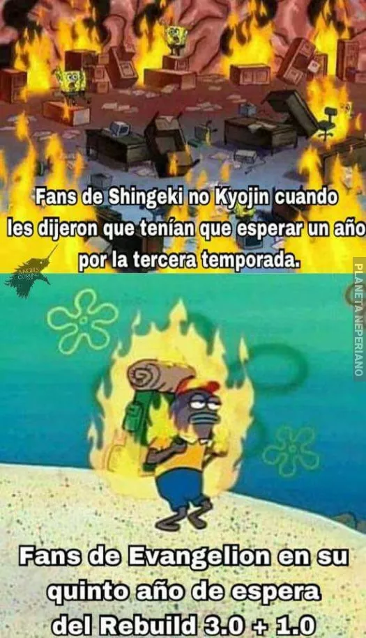 el fandom de hoy en día