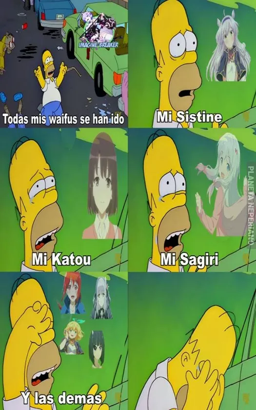 Adios mis queridas waifus