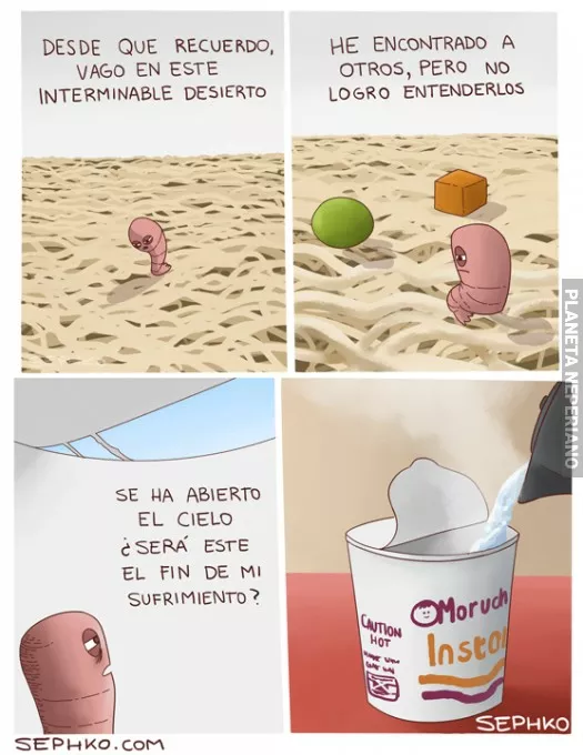 Pobre camarincito :(