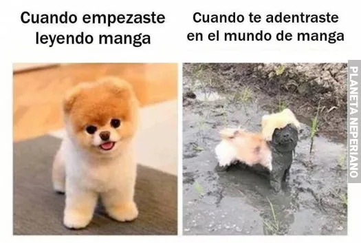 Las apariencias engañan