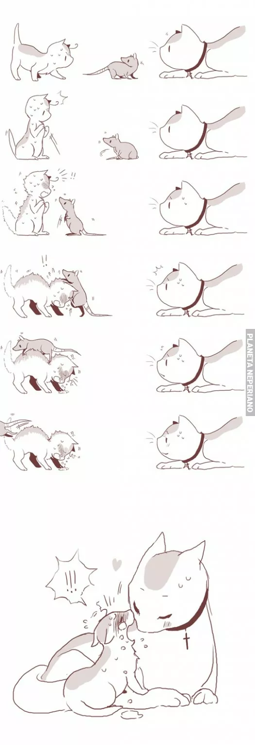 No te preocupes,lo lograrás