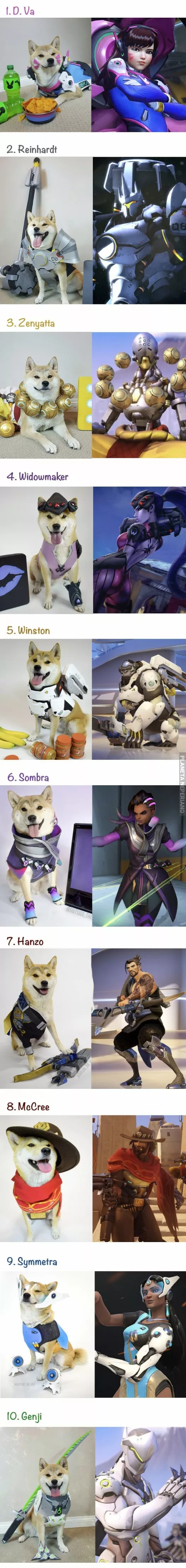 Doggo cosplay overwatch