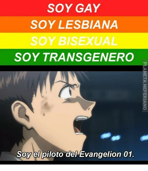 ¿¿Que eres Shinji!?