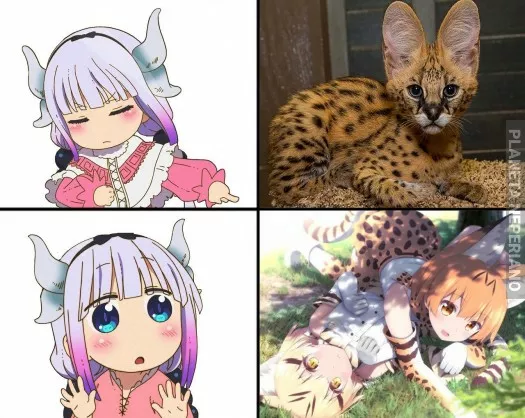 Kanna la prefiere así :3