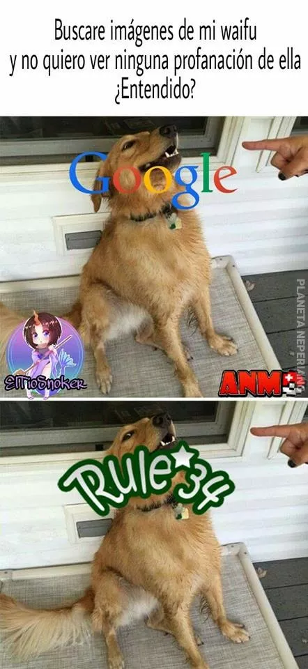 pinche google >:'v