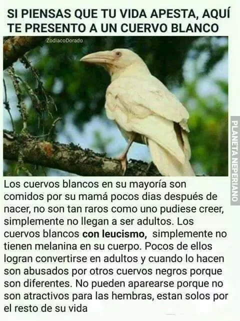 Racismo en la naturaleza.