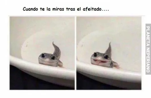 Despues de pasar la cuchilla
