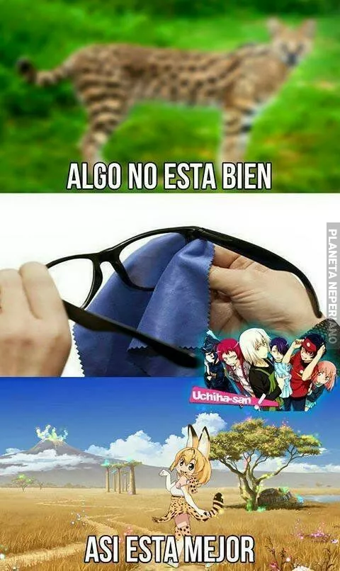 Así esta mejor :v