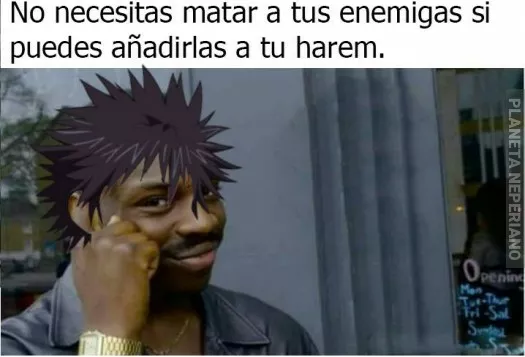 Puño del Harem