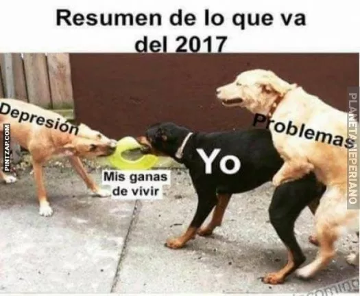 ¿como te fue en el año?