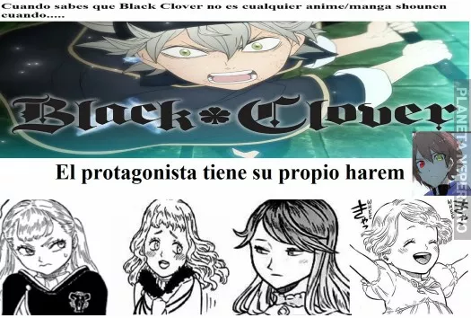 El harem de Asta