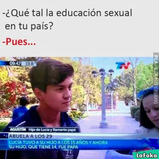 Se reproducen como conejos