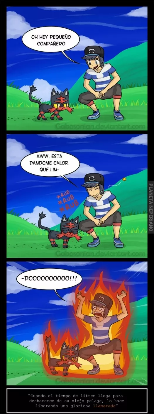 No te fies de un litten