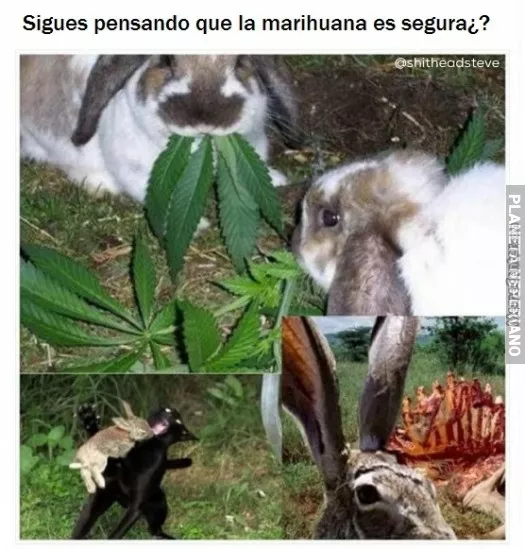 Es peligroso señor bigotes