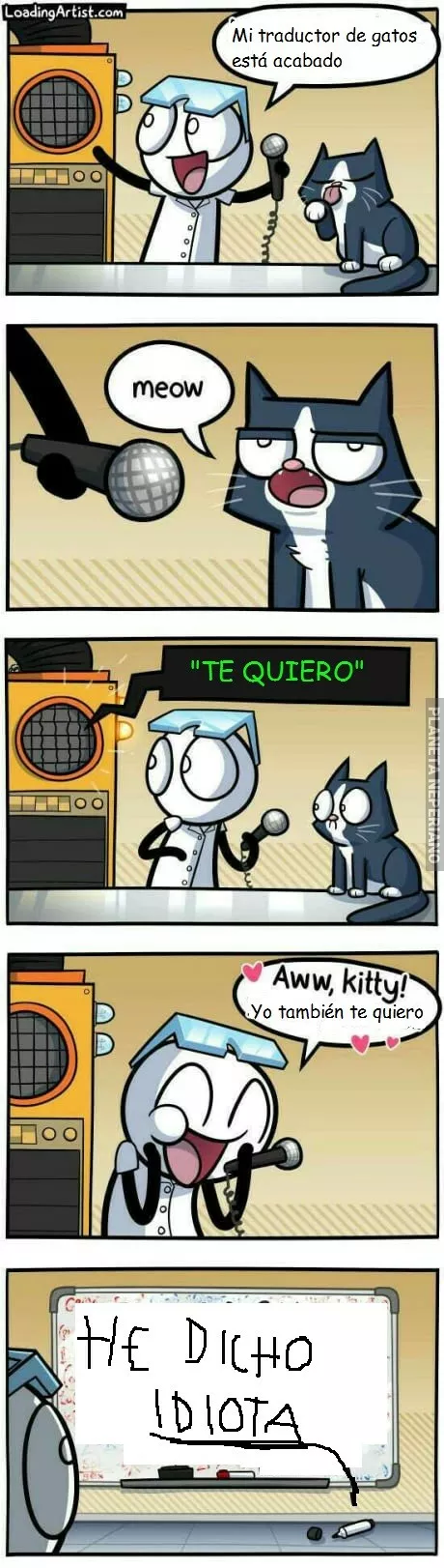 QUE DICEN LOS GATOS?