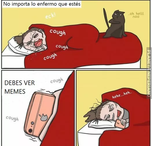 Siempre alegran el dia :V