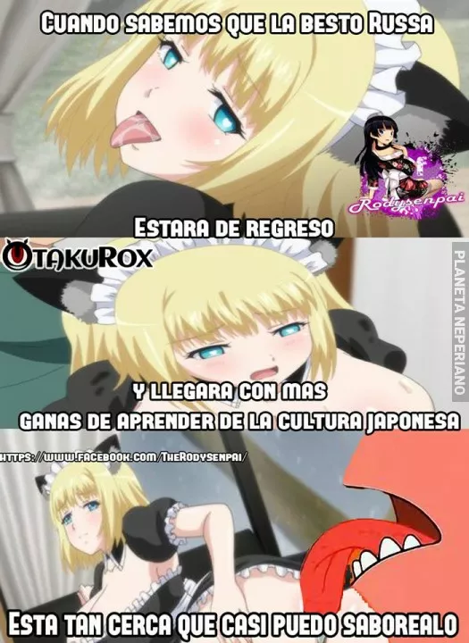 Uff men alisten el ganzo prros