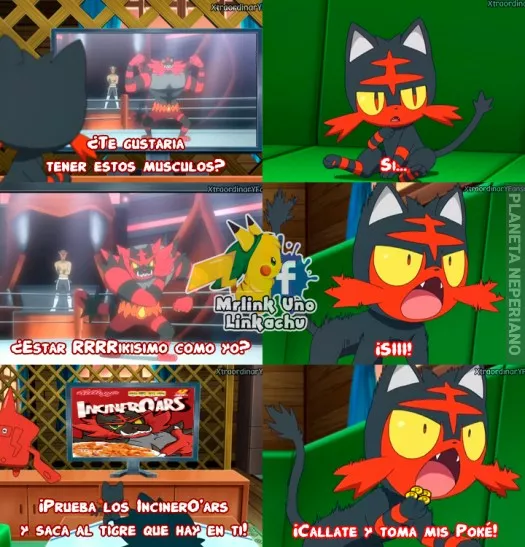 si, quiero estar mamado como el tigre toño.