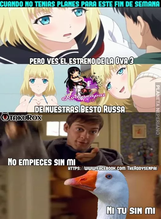 por fin :v