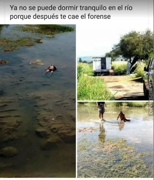 ya ni dormir en el lago se pude