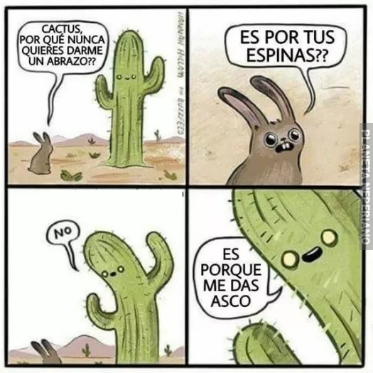 La verdad a la cara