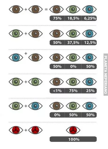 Que ojos tendrán tus hijos