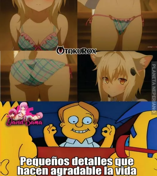 uff esa koneko