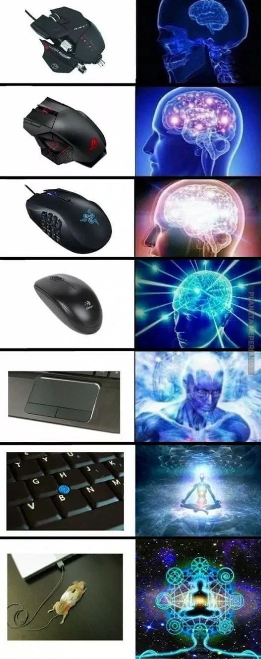 mouses