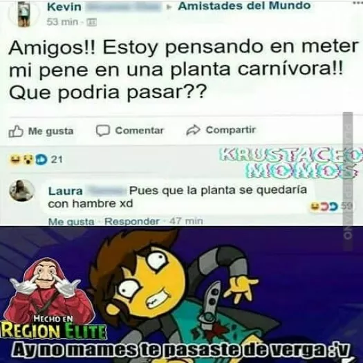 Pobre planta