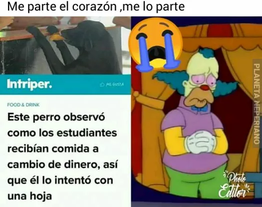 Ese perrito entiende mejor la función basica del capitalismo que el zurdito promedio en mi pais...