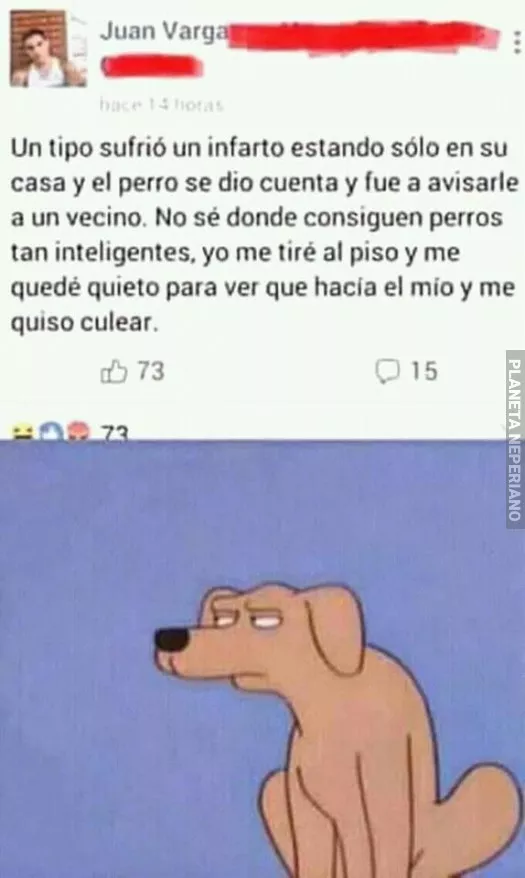 Tipico perro argento de dueño argento 